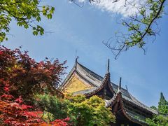 -龙华寺