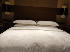-扬州绿地铂骊酒店