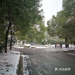 仙桃城区有多少人口_仙桃城际铁路新进展,工人驻点昼夜不停,这些已完工,明年(3)