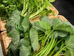 西洋菜-烹然四季椰子鸡火锅(团结湖总店)