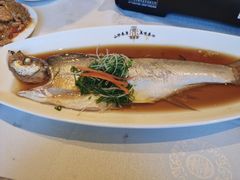 新安江野生大白鱼-徽珍源(龙茗路店)