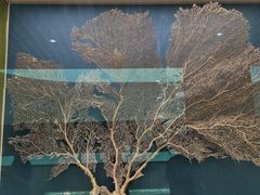 -中国湿地博物馆