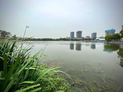 -美兰湖景区