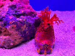 -上海海洋水族馆