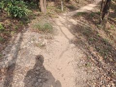 -梧桐山风景名胜区