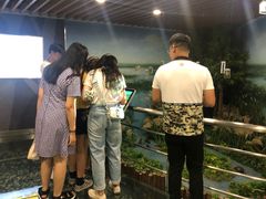 -九里湖国家湿地公园