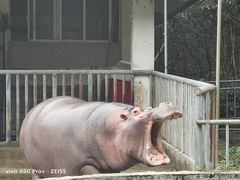 -福州动物园