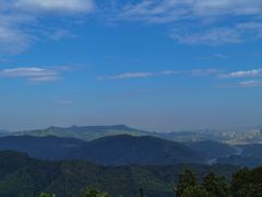 -黄埔油麻山森林公园