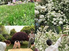 -铁山坪森林公园