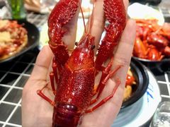 -老鄞江清水龙虾•赵赵家(江北店)