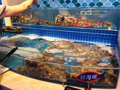 水产区-乔哥铭洋海鲜自助(皇城恒隆广场店)