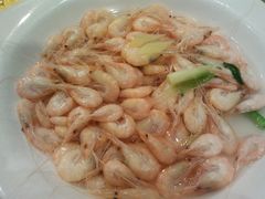 白虾-西新饭店(城中店)