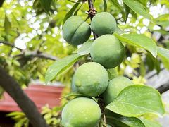 -李叔同故居纪念馆