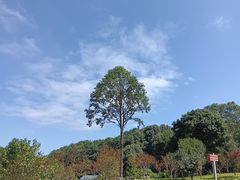 -广州市帽峰山景区