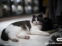 -星光摄影器材城