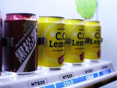 -升恒昌免税商店(桃园国际机场店)