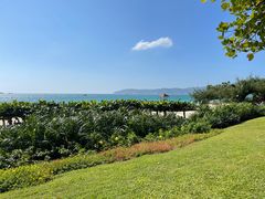 -三亚亚龙湾天域度假酒店