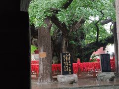 -浮来山风景区