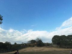 -雨花胜境