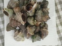 海螺-烁佳海鲜大馅饺子