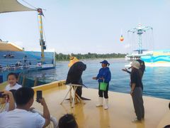 -秦皇岛乐岛海洋王国