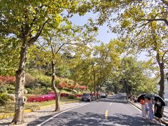 -庐山风景区花径公园