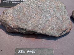 -浙江自然博物院(杭州馆)