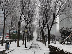 -木塔寺遗址生态公园