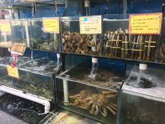 -蚝专家(北滘店)