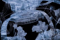 -花轿喜屋婚礼策划