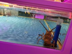 -奥斯汀KTV(金湖店)