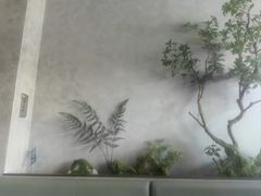 -眉州东坡(翠微印象城店)