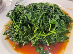 金花菜酒香-新聚丰菜馆(太监弄店)