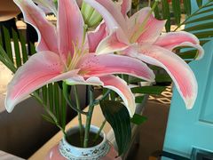 -南堂馆·新川菜(春熙路店)