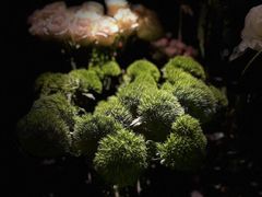-Love Story爱情故事·养生SPA会所(新侨店)