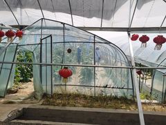 -象山森林公园