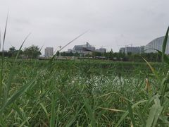 -保定东湖公园(莲池区)