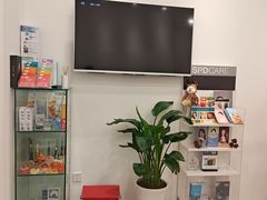 -上海康怡口腔门诊部Alpha Dental