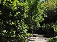 -西安凯悦酒店·湖畔中餐厅