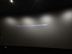 -万象影城(石家庄万象城IMAX激光店)