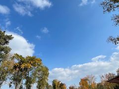 -上海滨江森林公园