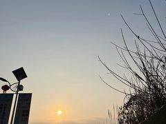 -粤香村(清真川菜店)