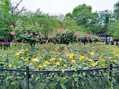 -堤角公园
