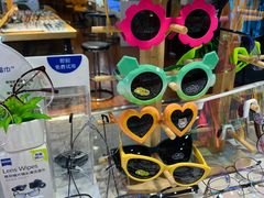 -三叶眼镜城批发市场(上海火车站店)