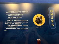 -徐州博物馆