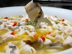 招牌青椒鱼-青花椒花椒鱼(合生汇店)