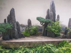 -上海醉白池公园