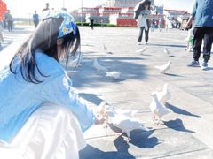 -天津妈祖文化园