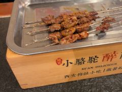 -福苗小骆驼烧烤(大唐不夜城店)