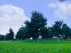 -洨河生态公园